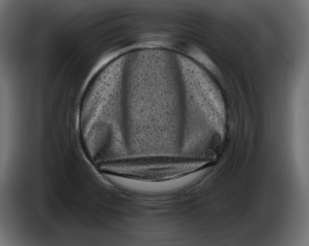 X0000083571420200703021734