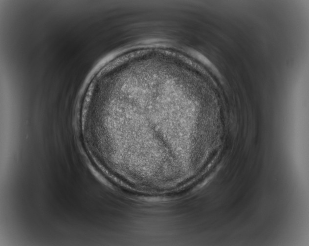 X0000083571421200703021734