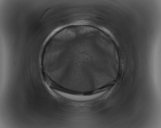 X0000083571422200703021734