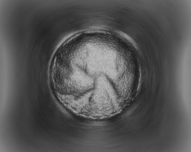 X0000083571423200703021734