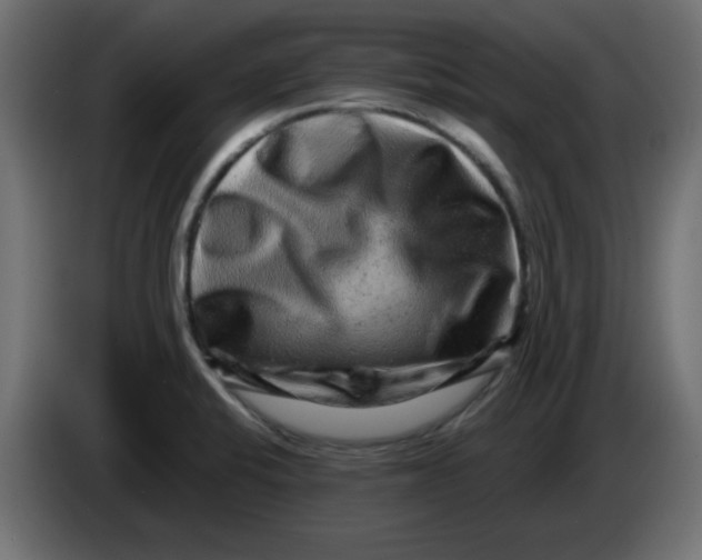 X0000083571424200703021734