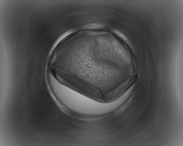 X0000083571426200703021734