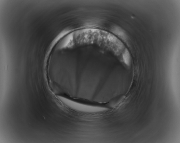 X0000083571427200703021734
