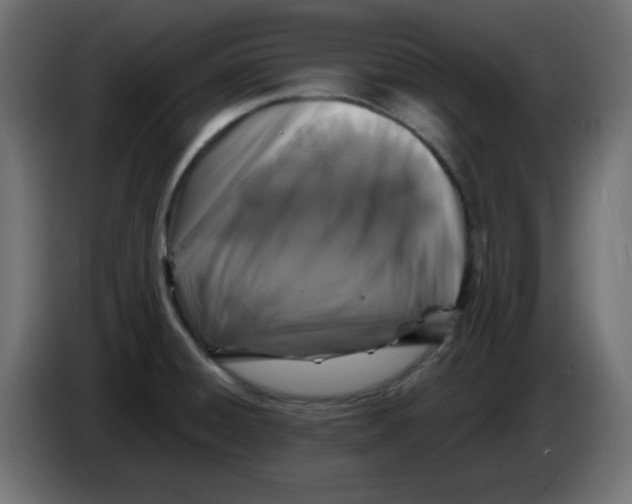 X0000083571428200703021735