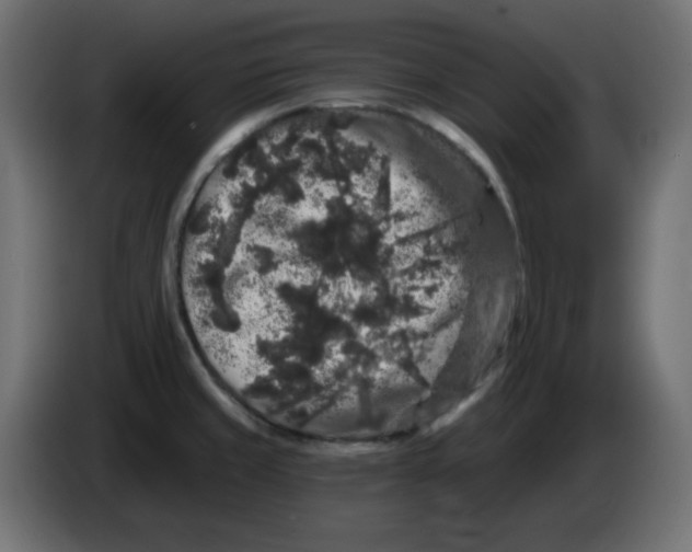X0000083571429200703021735