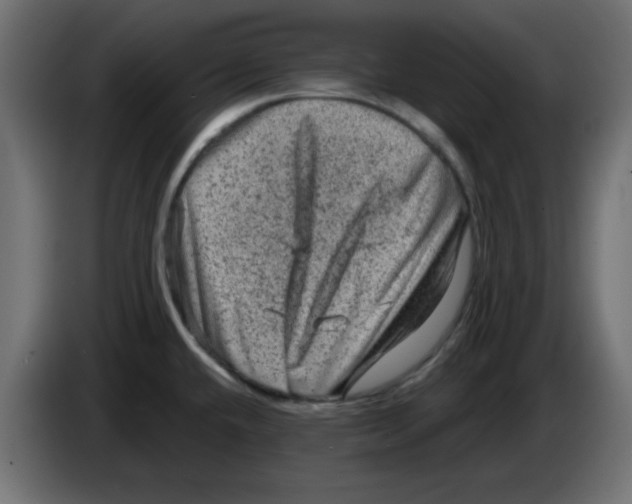 X0000083571432200703021735