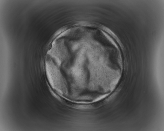 X0000083571433200703021735