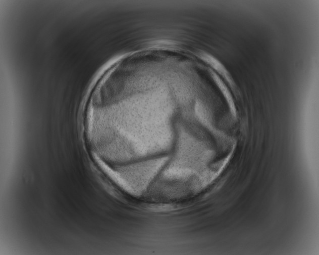 X0000083571435200703021735