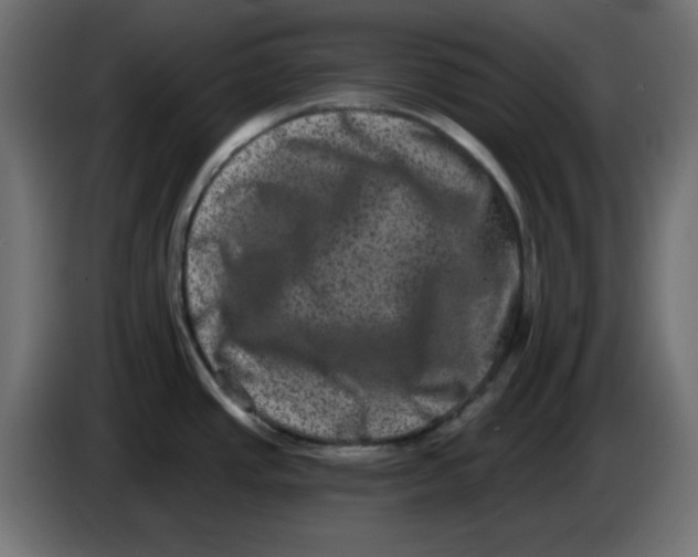 X0000083571437200703021735