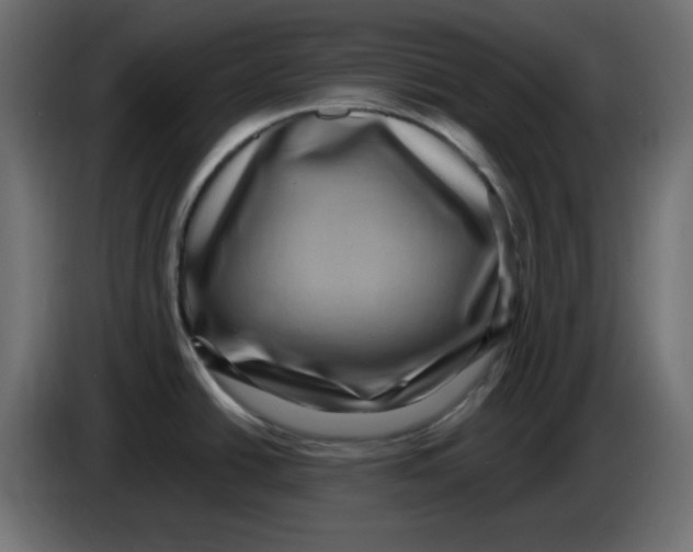 X0000083571438200703021735