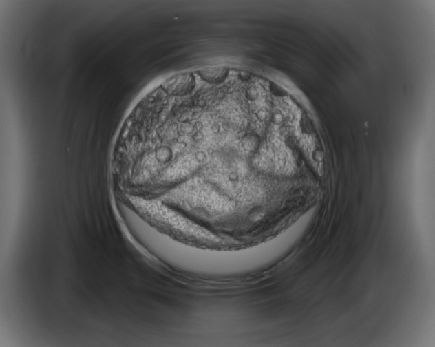 X0000083571439200703021735