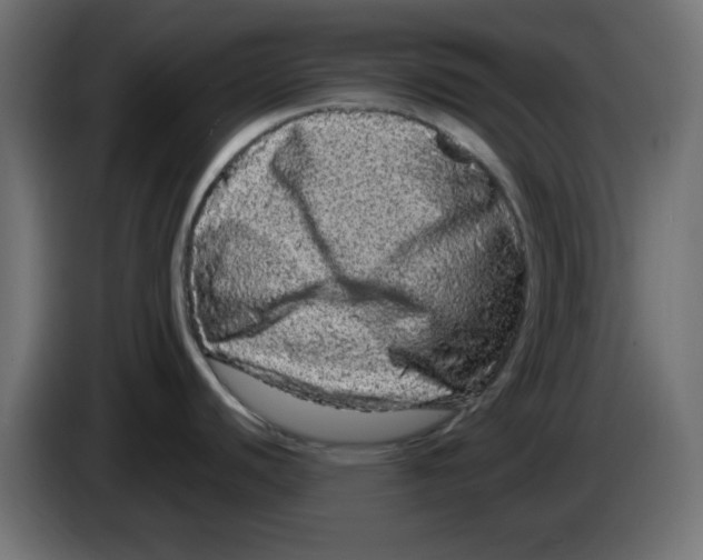 X0000083571440200703021735