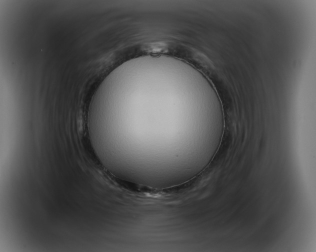 X0000083571442200703021734