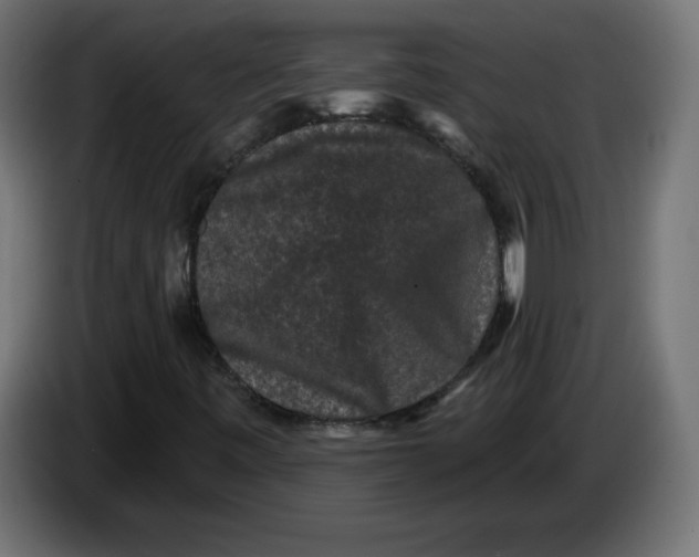 X0000083571443200703021734