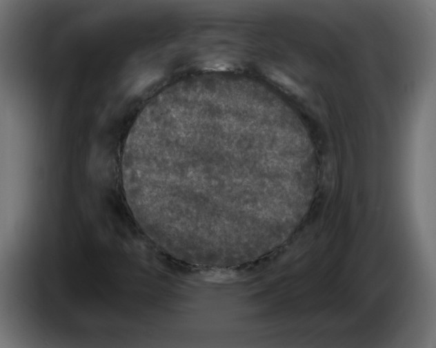 X0000083571446200703021734
