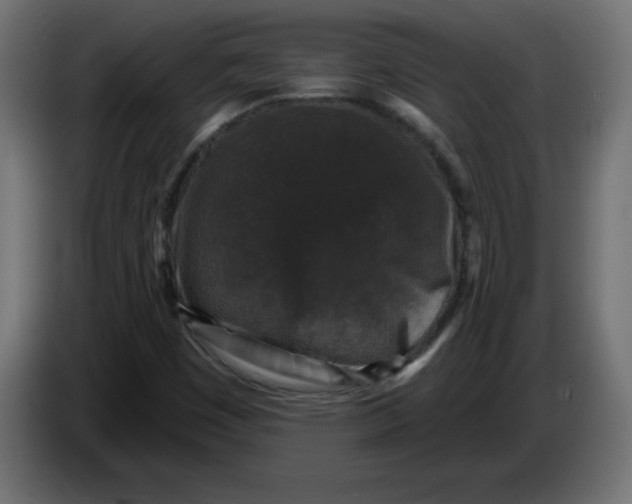 X0000083571449200703021734