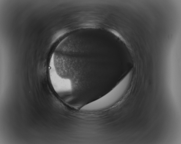 X0000083571450200703021734