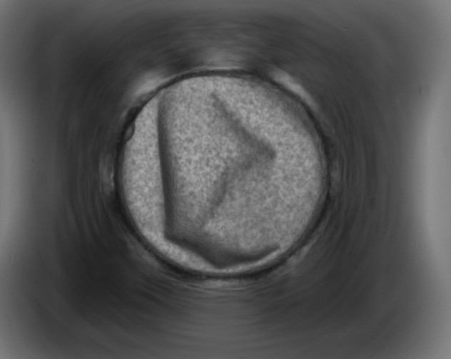 X0000083571451200703021734