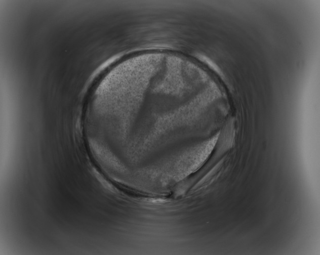 X0000083571452200703021734