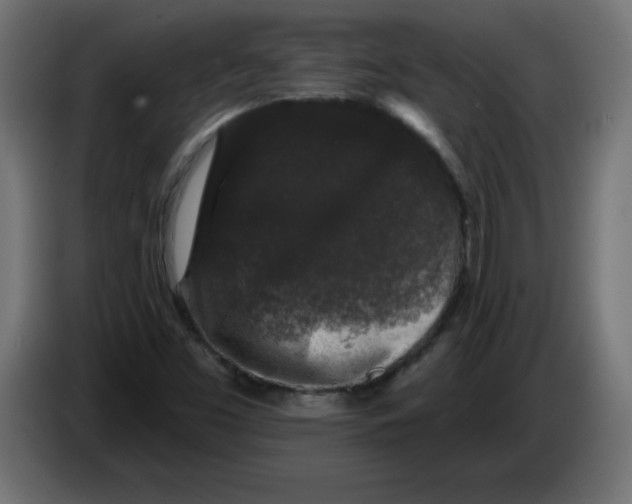 X0000083571453200703021734