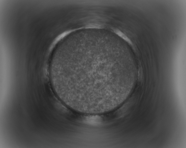 X0000083571454200703021734