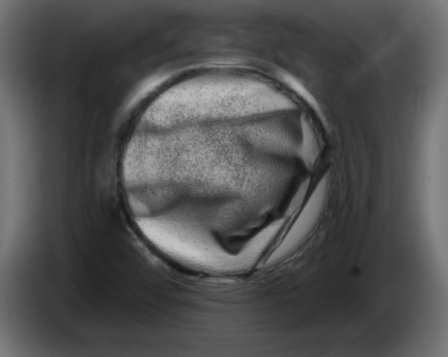 X0000083571456200703021734