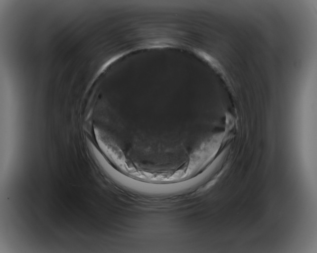 X0000083571457200703021734