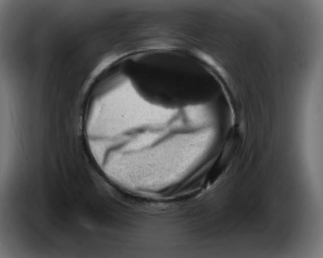 X0000083571459200703021734