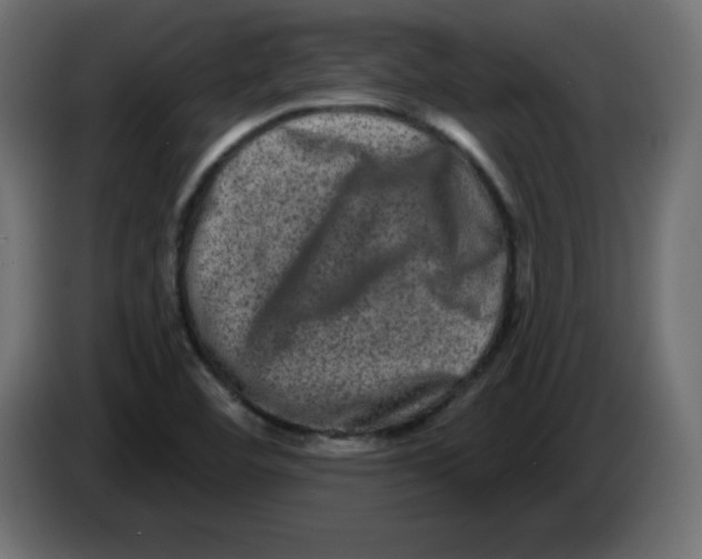 X0000083571460200703021734