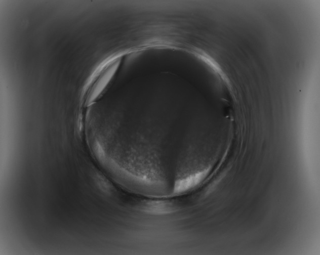 X0000083571461200703021734