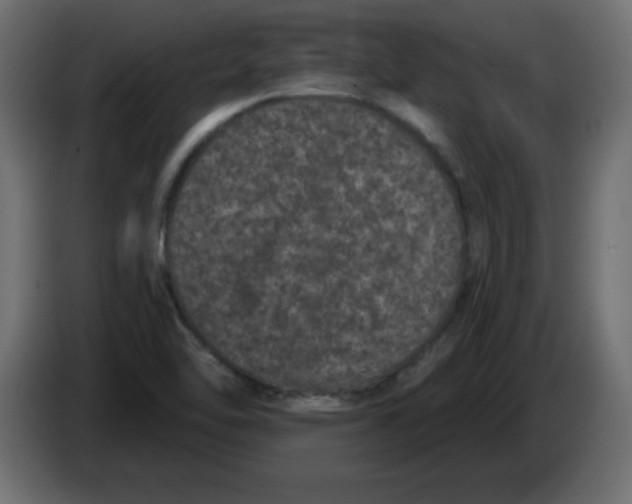 X0000083571462200703021734