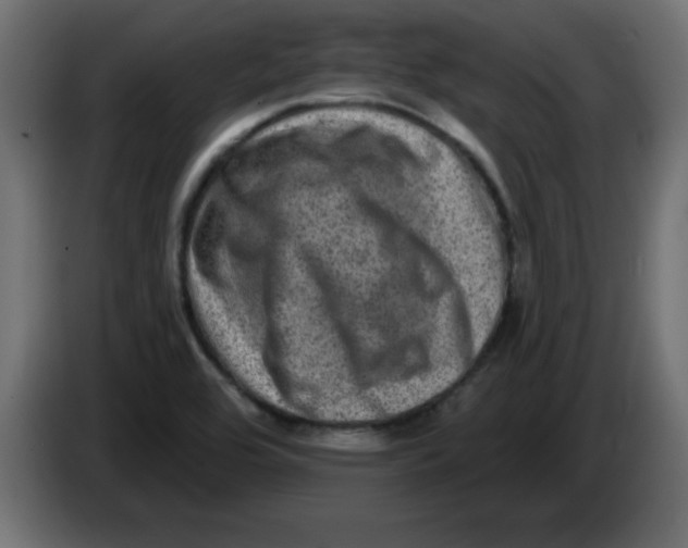 X0000083571464200703021733