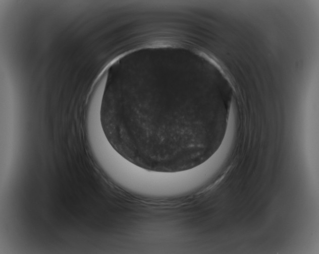 X0000083571465200703021733