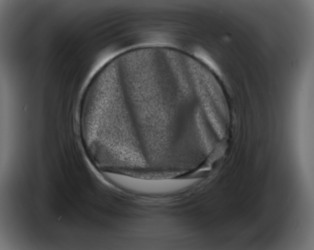 X0000083571468200703021733