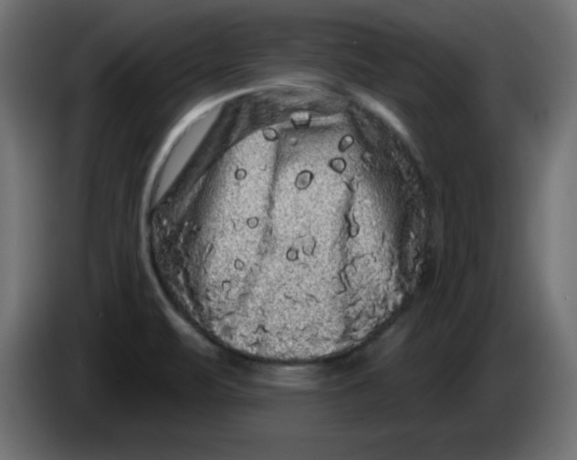X0000083571471200703021733