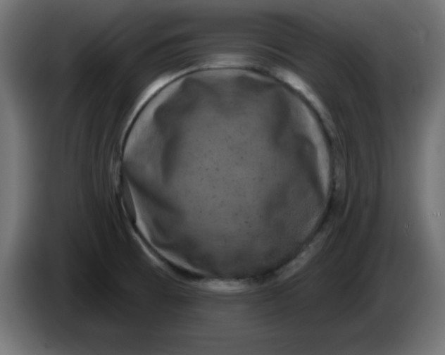 X0000083571473200703021733