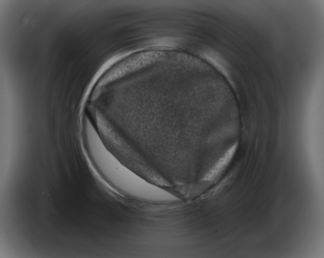 X0000083571475200703021733