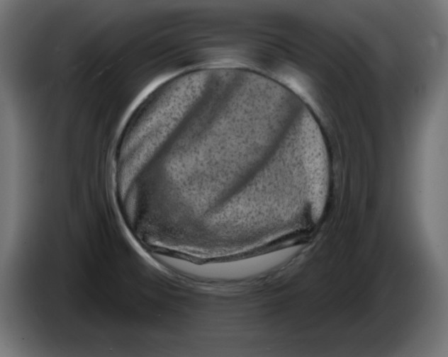 X0000083571476200703021733
