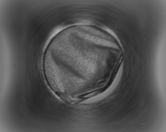 X0000083571480200703021733