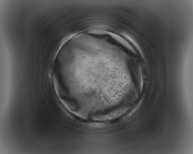 X0000083571481200703021733