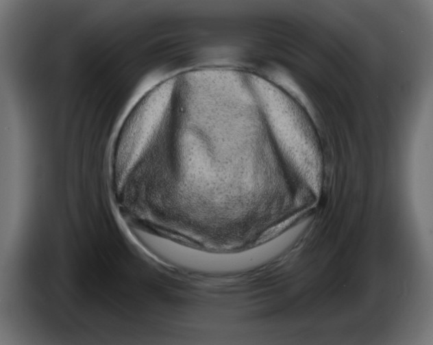X0000083571483200703021733