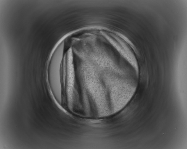 X0000083571484200703021733