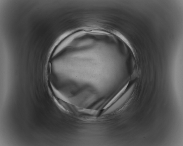 X0000083571485200703021733