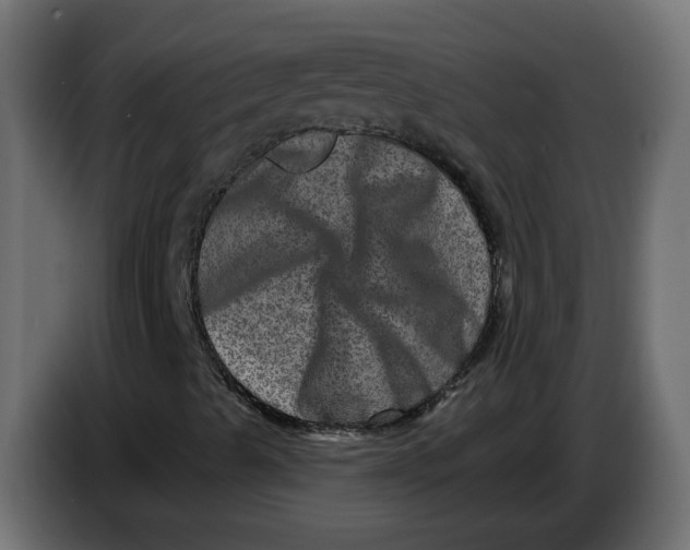 X0000083571489200703021732