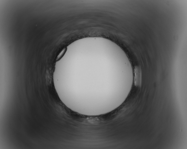 X0000083571491200703021732