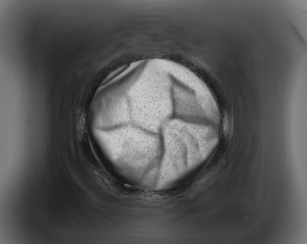 X0000083571492200703021732