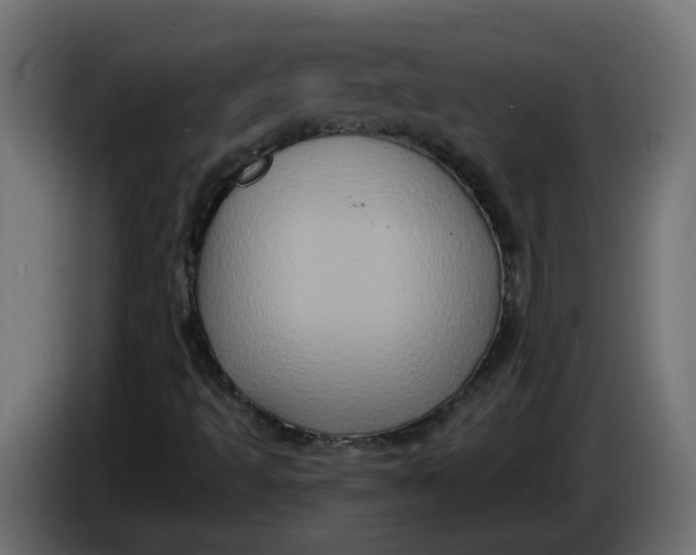 X0000083571493200703021732