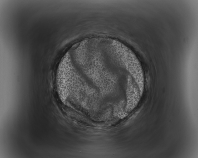 X0000083571494200703021732