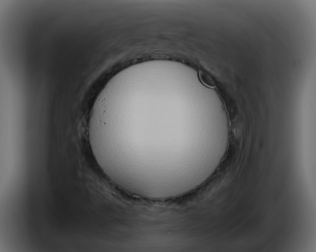 X0000083571495200703021732