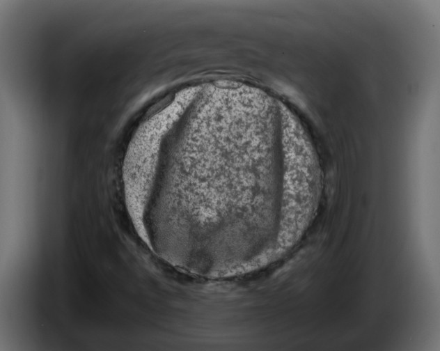 X0000083571496200703021732